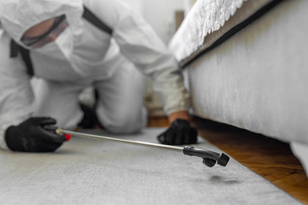 Professional Pest Control technician working in Potter County County, TX